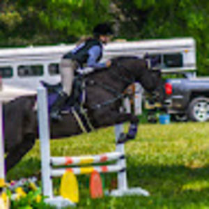 Meet your Posher, Betsy